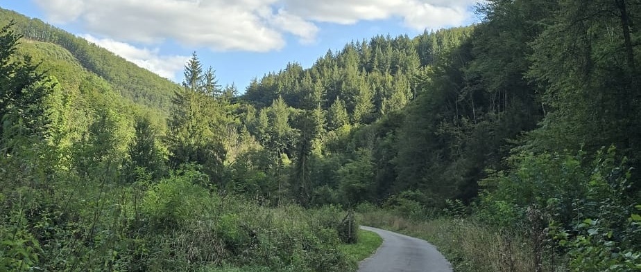 Radfahrer auf dem Schinderhannes-Radweg im Hunsrück