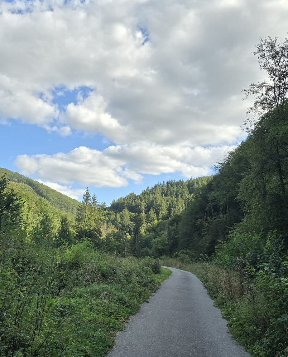 Hunsrück-Höhen